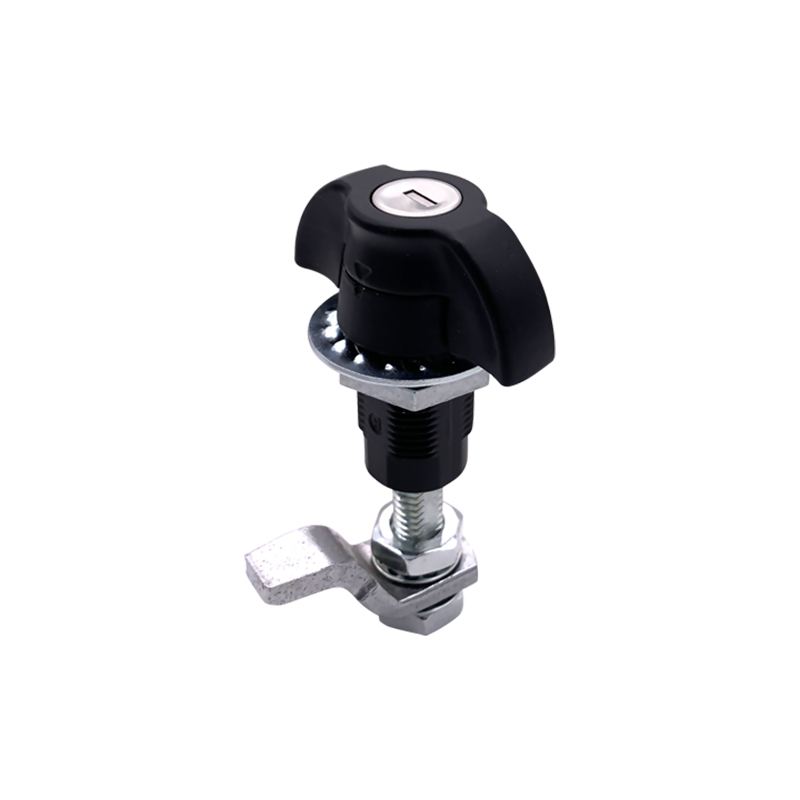 MS309-7 Cogo Claustrum Seras et sursum cylindri, Novifacta MS309-7 Cogo Claustrum Seras et sursum cylindri, Novifacta