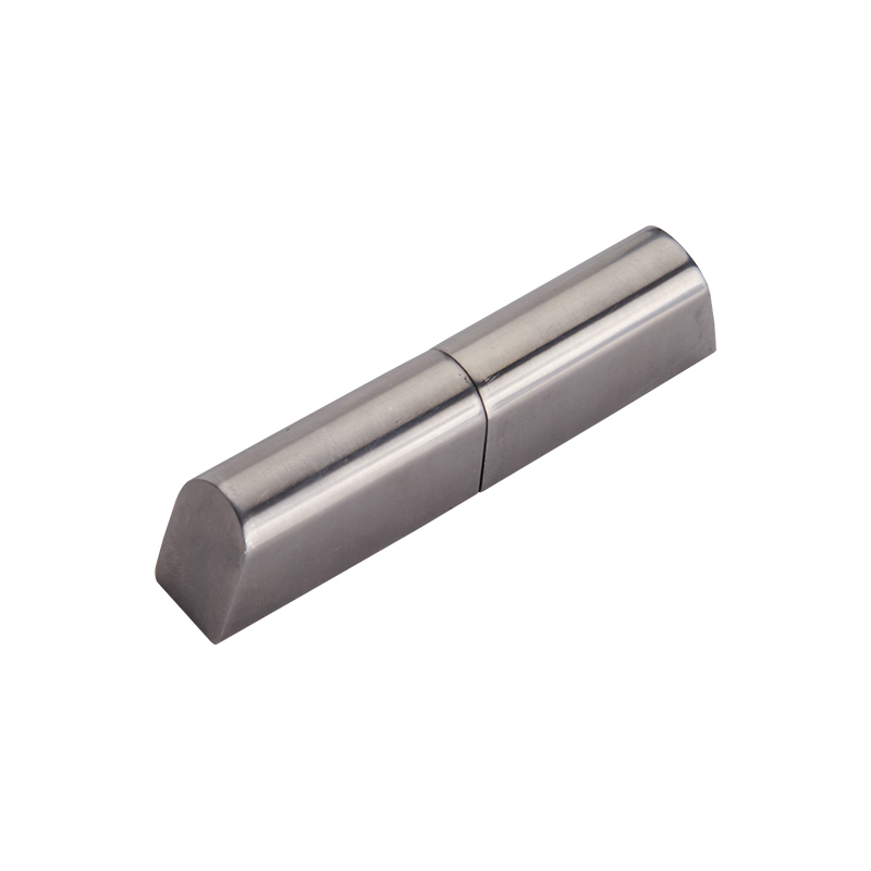CL204-4 Speculum poliendo Steel Industrial cardines