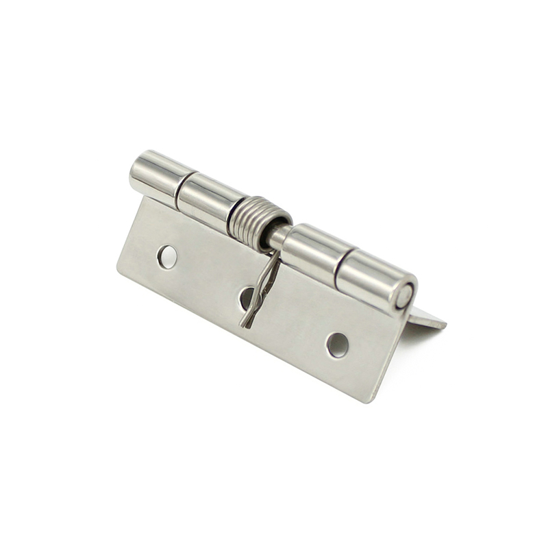 CL253-6 29g 400lot Peniculus et politus Steel cardines