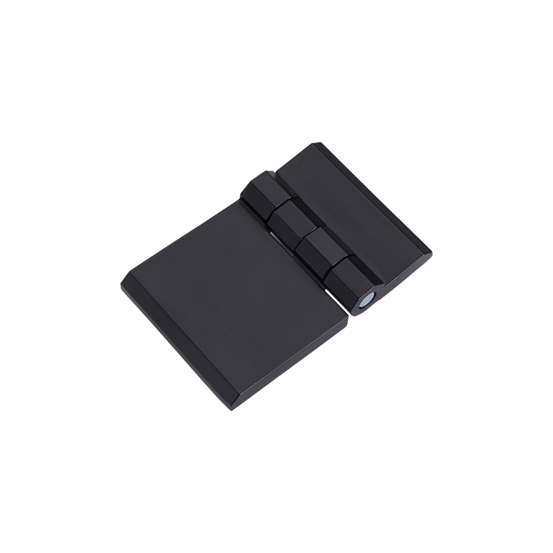 CL233-1A-2S Penictus polita SUS304 Steel cardine et Pin