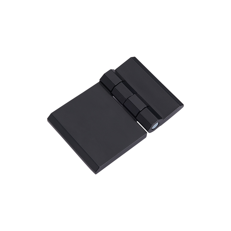 CL233-2A-2S Penictus politus SUS304 Steel cardines et Pin